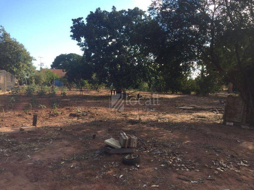 Imagem 5 de 18 de Chácara Com 4 Dormitórios À Venda, 1000 M² Por R$ 650.000 - Chácara Recreio Nossa Senhora Do Líbano (zona Rural) - São José Do Rio Preto/sp - Ch0078