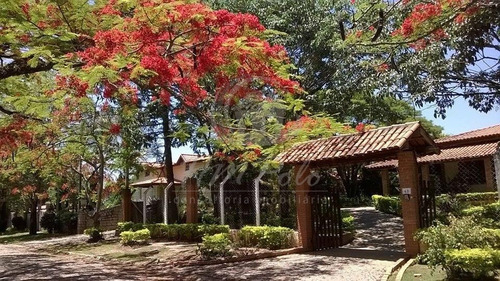 Imagem 1 de 15 de Chácara À Venda Em Chácara Carolina - Ch036746