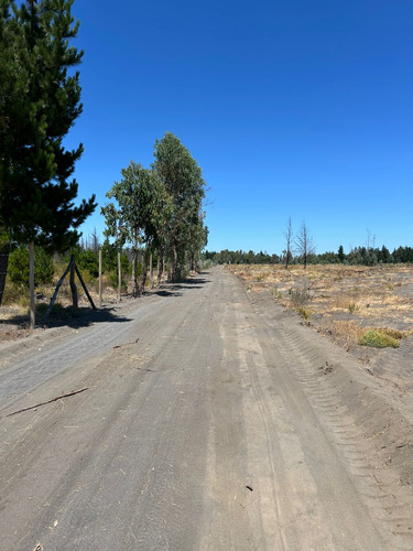 Venta De Parcelas, Fundo Del Itata, Campanario Yungay