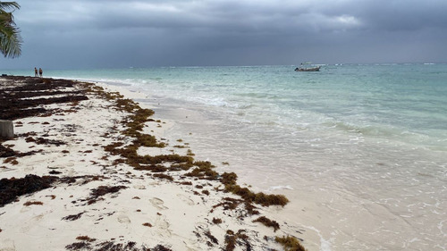 Lote Con Playa En La Riviera Maya En Venta