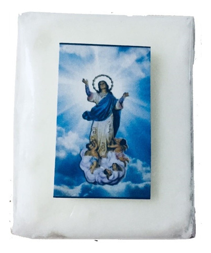 21 Piezas Recuerdo De La Virgen De La Asuncion (ja80)