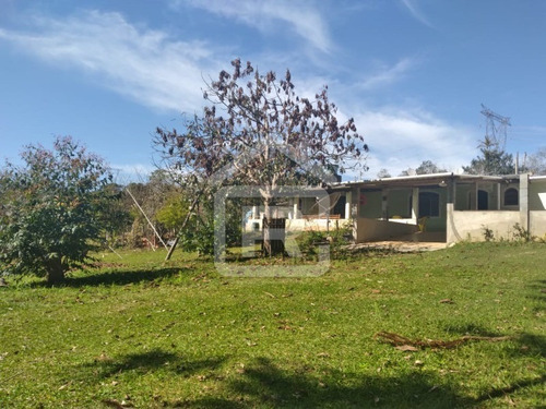 Imagem 15 de 30 de Linda Chacára Com Boa Topografia E Piscina - 27 - 70055572