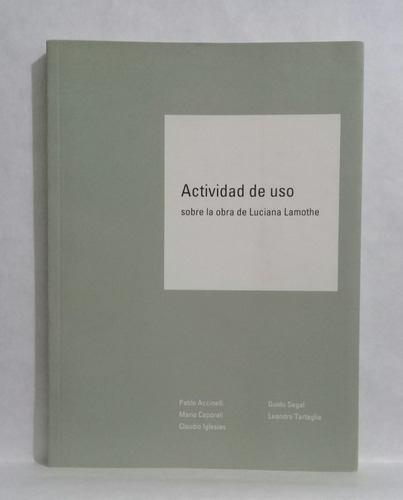 Actividad Sobre La Obra De Luciana Lamothe Por P Accinelli