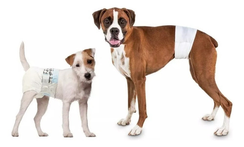 Pañales Para Perros Mascotas S A Xl Absorbentes 12 Unidades