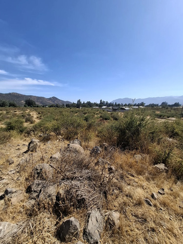Terreno Plano 5.000 M2 Con Rol Propio En Isla Briones