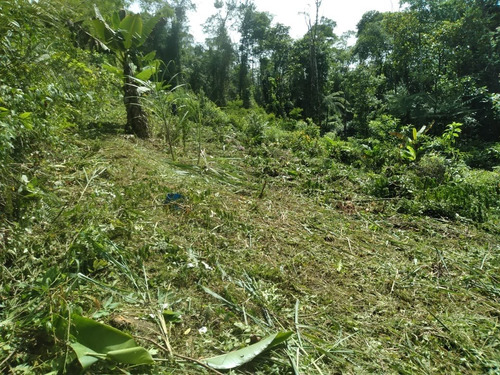 Imagem 13 de 14 de Terreno Em Miracatu C/ 30 Mil M