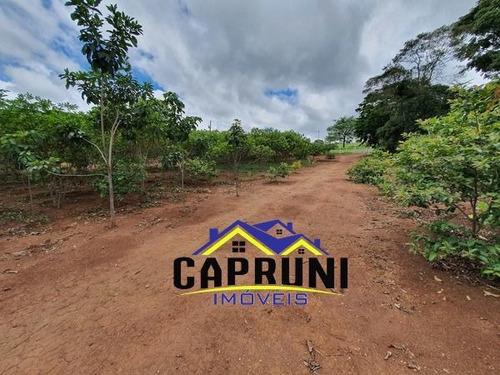 Imagem 7 de 15 de Chácara Em Zona Rural, Passa Tempo/mg De 5200m² 2 Quartos À Venda Por R$ 250.000,00 - Ch2330827-s