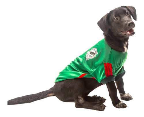 Playera Pet Pals México Mundial Verde Perro Talla 1
