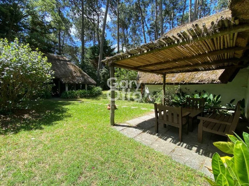 Cabaña De 3 Dormitorios Y Parrillero Techado En Pinares, Punta Del Este.- Ref: 23668
