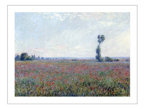 Lamina Fine Art Campo De Amapola Monet Claude 40x50 Myc