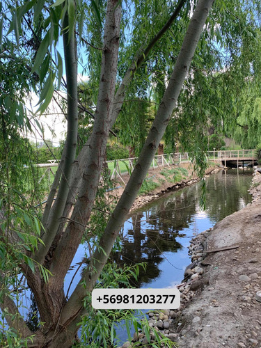 Parcela Con Casa En Isla De Maipo