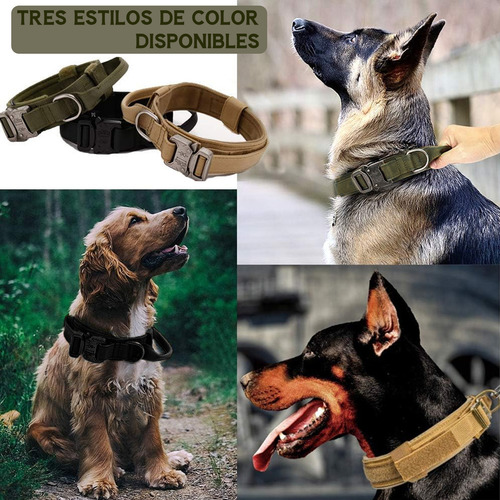 Tovendor 01 Correas para perros color verde tamaño M