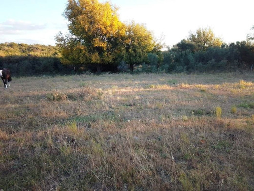 Imagen 9 de 28 de T056pa Amplios Terrenos De 1.350 M2 En Panaholma, A 300 Mts Del Río