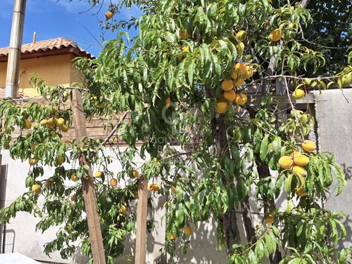 Casa En Venta De 3 Dorm. En Colina