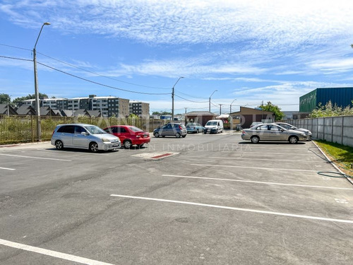 Departamento En Arriendo De 1 Dorm. En Concepción