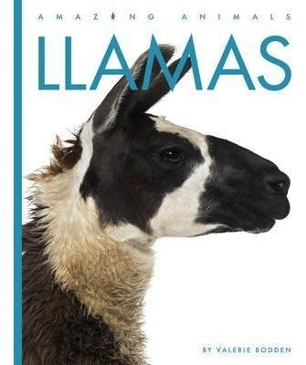 Libro Llamas - Valerie Bodden