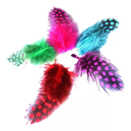 Plumas de Guinea Rojas de 2-3 pulgadas 10 Plumas de aves de Guinea