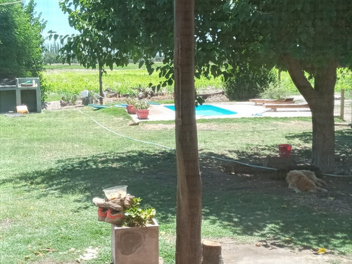 Imagen 14 de 14 de Finca En General Alvear Mendoza