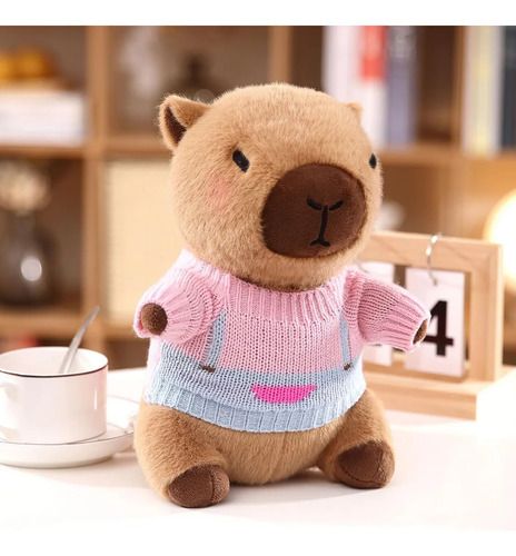 Para Pelúcia De Capivara Com 9 Roupas E Acessórios De 10