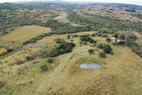 Venta De Campo De 70 Hectareas En Sierras De Garzon - Paso De La Cantera