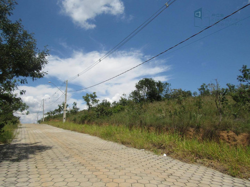 Imagem 6 de 22 de Terreno À Venda, 980 M² Por R$ 195.000,00 - Ponta Do Sol - Capitólio/mg - Te0399