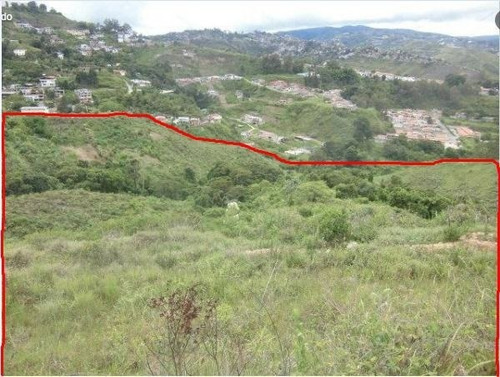 Imagen 5 de 13 de Terreno En Venta 13.5 Hectareas En Las Guamas Los Teques