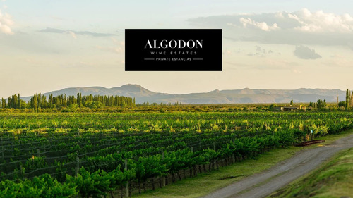 Algodón Wine Estates - Private Estancias