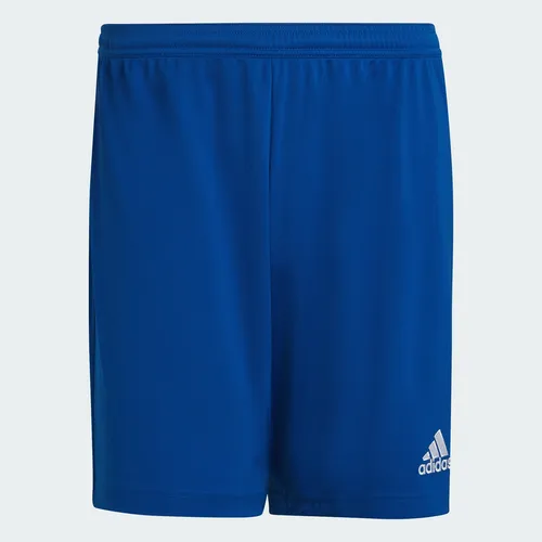 Shorts adidas Fútbol Entrada 22 Hombre Azul Hg6294