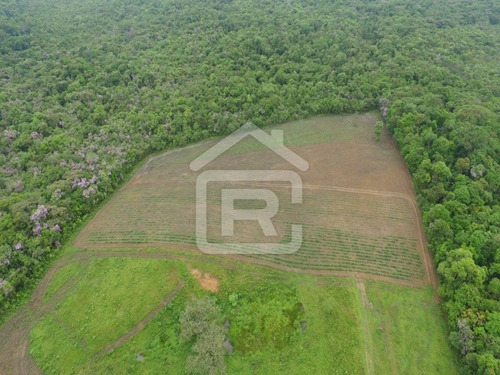 Imagem 6 de 21 de Fazenda - 229 - 70651803