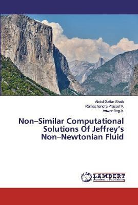 Libro Non-similar Computational Solutions Of Jeffrey's No...