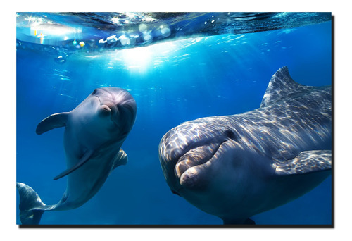 Cuadro Decorativo Canvas Paisaje De Delfines De 135x90 Cm