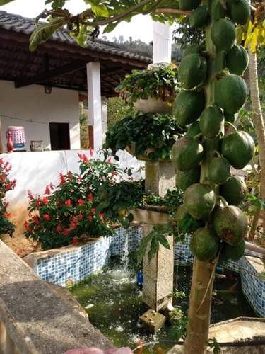 Imagem 9 de 26 de Chácara Para Venda - Serra Itapety , Guararema - 4 Vagas - 2597