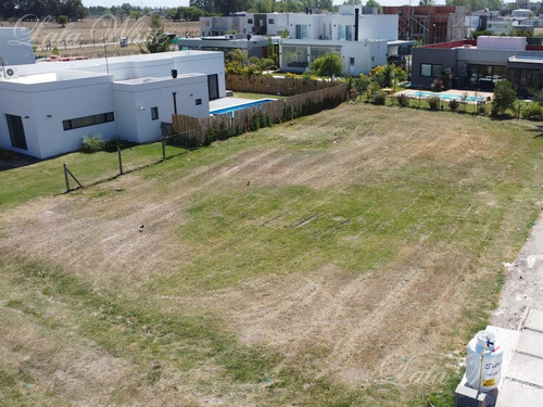 Imagen 3 de 14 de Venta - Lote En La Alameda