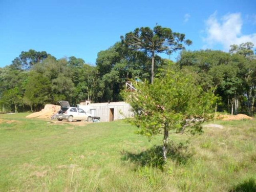 Imagem 6 de 13 de Chácara Em São José Dos Pinhais - 0828 - 3399849