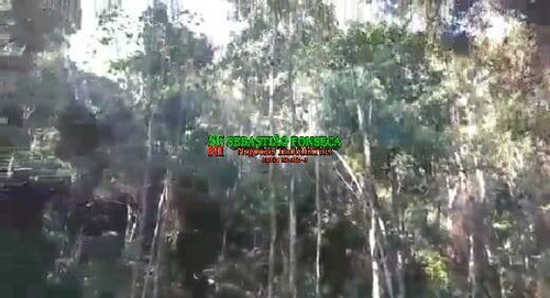 Imagem 7 de 15 de Chácara 1.800 M² Em Santo Antônio Do Pinhal - 1828