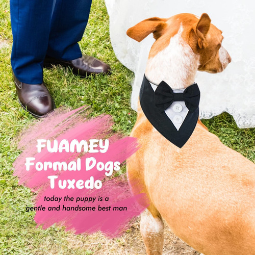 Esmoquin Para Perro, Pañuelo Formal Boda, Collar Para Perro