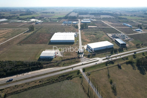 Imagen 17 de 18 de Terreno Fracción En Venta Ubicado En Los Cardales, Exaltación De La Cruz, G.b.a. Zona Norte