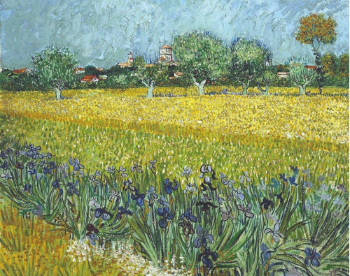 Vangogh 90x70cm Lienzo Canvas Cuadro  Decorativo