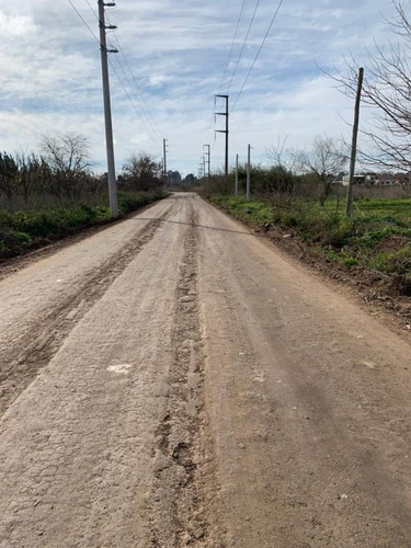 Imagen 3 de 7 de Terreno En Venta De 300m2 Ubicado En La Plata