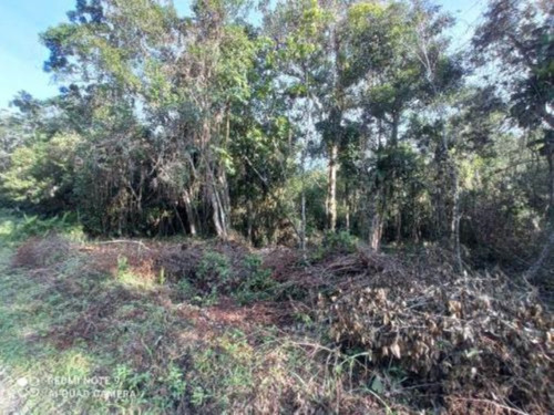Imagem 6 de 10 de Lotes De Chácara No Bairro São Fernando, Em Itanhaém, Com 2.400 M² De Área Total, Aceita Entrada Mais Parcelas