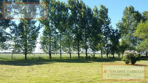 Venta - Chacra - Parada Robles