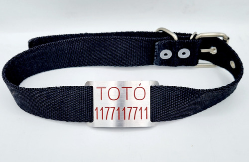 Chapita Para Perro Pasador Grande Modelo 29+ Collar Negro