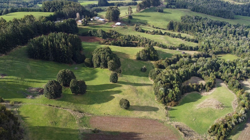 Imagen 4 de 16 de Campito De 7ha Mirador Del Mañio - Los Muermos