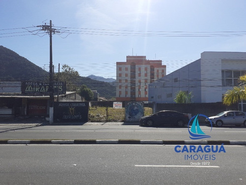 Imagem 1 de 21 de Area - Ar00004 - 1467501