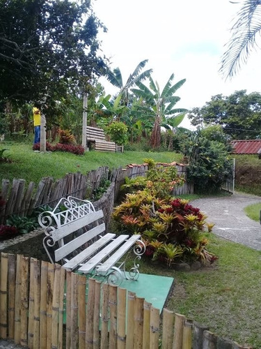 Imagen 25 de 27 de Se Vende Finca De Cuadra Y Media, Vía Montenegro Quindio
