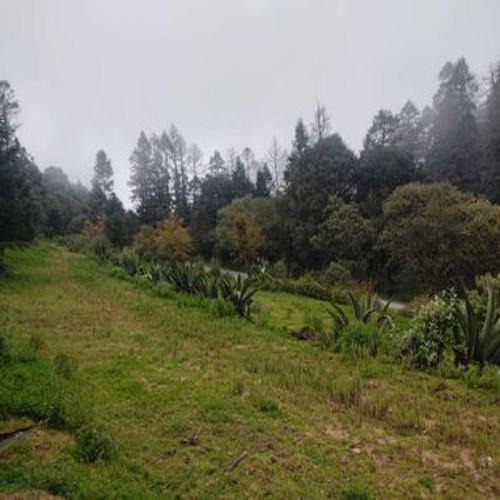 Excelente Terreno En Sta. Rosalia , Mineral Del Monte