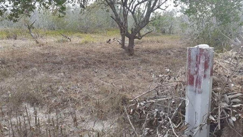 Terreno Lote En Holbox
