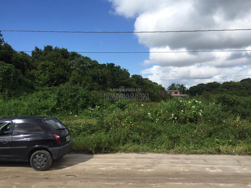 Imagem 3 de 5 de Terreno - Venda - Gaivotas - Itanhaém - Ita3175