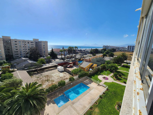 La Serena (65565)