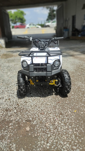 Imagen 8 de 8 de Minicuatrimoto O Miniatv